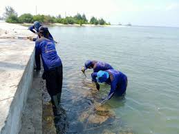 Di dalam pulau ini tersedia berbagai pilihan kegiatan seru yang berhubungan dengan laut. Sudin Sda Perbaiki Bronjong Penahan Tanggul Di Pulau Lancang Mediaonline Co Id