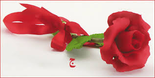 البركة و الدراجة منتديات اختبارات القدرات والتحصيل والكفايات لــ أ فهد البابطين