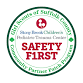 Girl Scouts partner with SB - Earn your Safety... event in Bayport, NY