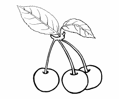 Orang tua bisa mengajarkan teknik dan cara gambar mewarnai buah, hewan, bunga, atau pemandangan. Graphic Transparent Stock Fruit And Vegetable Clipart Mewarnai Gambar Buah Ceri Transparent Png Download 1931862 Vippng