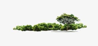 Pin By Zhao Long On Floral Jungle Tree Poster Design Plants