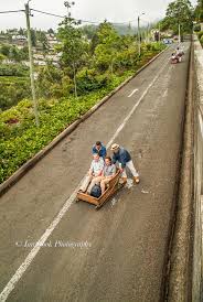 March 13 2016 Wicker Toboggan Sled Ride Monte To Funchal Madeira Travelgumbo