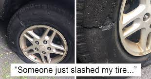We did not find results for: Woman Posts Pics Of Her Slashed Tire On Twitter But Someone Quickly Proves She S Lying And It S Hilarious Bored Panda