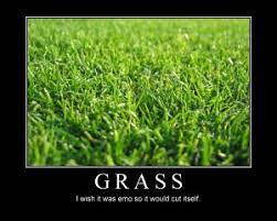 Check spelling or type a new query. Grass Mowing Quotes Quotesgram