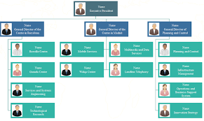 5 Functional Org Chart Templates Org Charting