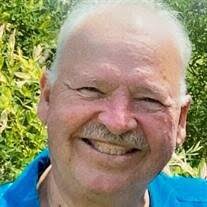 Stephen Raymond Plamondon Obituary