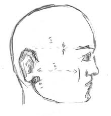 Add two lines for the neck. Sketching And Drawing Human Faces Feltmagnet