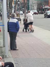Weather forecast up to 14 days including temperature, weather condition and precipitation and much more. This Guy Is Edmonton As Fuck Helping Old Ladies In 5 Weather Tshirt N Shorts Edmonton