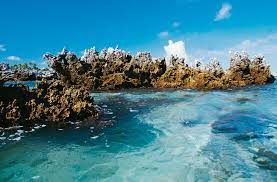 Île aux Récifs | Rangiroa, French Polynesia | Attractions - Lonely Planet