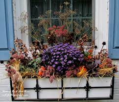 Stylish flower box arrangements with free delivery to ca. Window Box Our Fairfield Home Garden