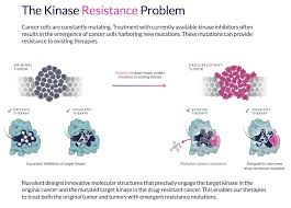 Image result for ALK Inhibitor