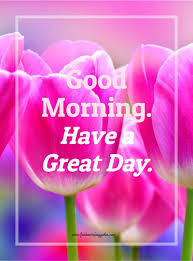 We did not find results for: Good Morning Tulip Flower Good Morning Flowers And Quotes 800x1080 Wallpaper Teahub Io