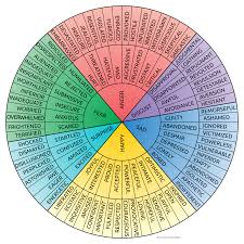 Emotions Wheel Glenn Trigg