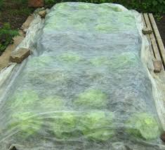 Bei bedarf mit pflöcken, steinen oder klammern fixieren. Wachstumsvlies 2 40m X 10m Wachstumsvlies 17g Vlies Vlies Wolfgang Nixdorfs Gemusegarten Versandhandel