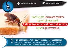 About ideal pest control we have great pleasure introducing ourselves as a leading company in pest control business in india. Call Us For Cockroach Control Services Seva Facility Service For Best Pest Control Service Head Offi Pest Control Services Pest Control Best Pest Control