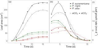 11.09.2020 · barron's regents exams and answers: Temporal Variability In Tree Responses To Elevated Atmospheric Co2 Lauriks 2021 Plant Cell Amp Environment Wiley Online Library