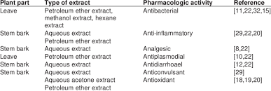 Image result for Stereospermum kunthianum