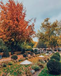 See the loveliest on a sisley garden tour. Berlin Autumn Dreams A Walk In The English Garden At Tiergarten Iheartberlin De