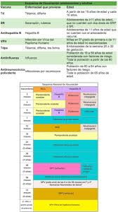 Start studying calendario vacunación minsal 2020. Calendarios De Vacunacion En Latinoamerica Confianza En Las Vacunas Latinoamerica