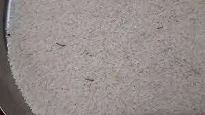How To Prevent Worms In Rice Ways To Get Rid Of Worms In Rice Rice Storing Tips To Prevent Insects Youtube