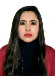 Directorio de Recursos Humanos afines a la CTI