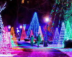 Image of Christmas at Niagara Falls