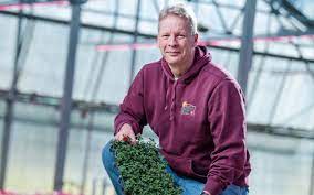 Maybe you would like to learn more about one of these? Three Leading Young Plant Propagators Talk About Their Outstanding Results Growing Under Philips Led Toplighting Signify Company Website