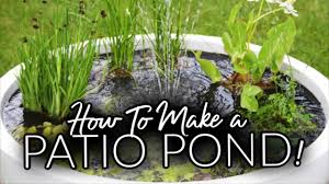 Planting a hardy water lily in a shallow and wide specialty pot designed for use in a water garden makes it easy to move the plant around as needed, and to position the potted hardy water lily in a calm area of the pond where it will receive full sun and away from the spray of fountains or waterfalls. Make Your Very Own Backyard Patio Pond A Pond In A Pot Youtube