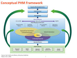 Afbeelding Van Https Accountablehealth Files Wordpress Com 2013 10 Phm Framework Png Population Health Management Health Communication Health Management