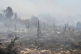 Malaysia closed more than 400 schools, citing unhealthy air quality as smoke and ash from raging forest september 10, 2019, 3:42 am edt updated on september 10, 2019, 6:36 am edt. Malaysia Indonesia Shut Schools Over Forest Fires Haze Deccan Herald