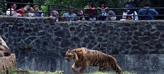 Check spelling or type a new query. Tiket Masuk Kebun Binatang Bandung Terbaru 2020 Full Review