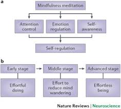 Relationships among nutrition knowledge, attitudes, and practices. The Neuroscience Of Mindfulness Meditation Nature Reviews Neuroscience