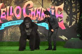 203 просмотра 2 года назад. Hello Charlie Trailer Out Aadar Jain Jackie Shroff S Bizarre Gorilla Film Will Make You Laugh Out Loud Bollywood News India Tv