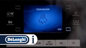 Find great deals on ebay for delonghi prima donna. How To Froth Milk With Your De Longhi Primadonna Exclusive Esam 6900 Coffee Machine Youtube