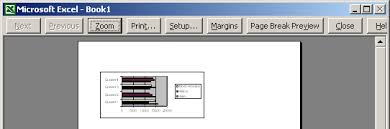 Image result for print preview screen without preview