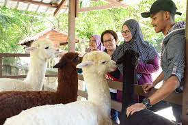 The urban farm proposes that fresh produce could be grown and sold through neighboring stores or potentially even delivered to. Farm In The City An Eden Of Nature And Animals