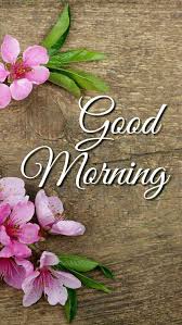 60 Most Beautiful Good Morning Images With Flowers Hindi Status Good Morning Flowers Good Morning Tuesday Morning Images