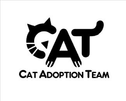 C A T Cat Logo Design Logo Design Cats