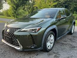 Image result for Nori Green 2020 UX