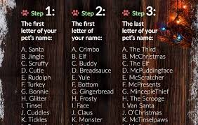 Use the christmas name generator to find out. Medic Animal What S Your Pet S Christmas Name Milled