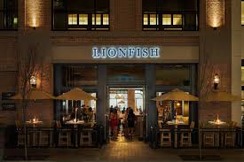 Check spelling or type a new query. What Makes Lionfish Stand Out Lionfish San Diego