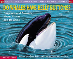 Test your knowledge of this team, including previous players, scores, coaches and championships, in these miami dolphins trivia questions and answers. 9780590130813 Do Whales Have Belly Buttons Questions And Answers About Whales And Dolphins Question And Answer Abebooks Berger Melvin Berger Gilda 0590130811