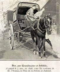 ce que devenaient les gloires du turf en 1900 attelage patrimoine equitation caleche coloriage de verrerie tiffany favrile