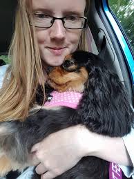 Hi all thank you for adding me to the group this is Lilly she's my cavalier  King Charles spaniel called Lilly she's 4 nearly 5 ❤️ Lilly had sm ( fluid  on