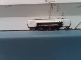 The most common rusted areas center in the trunk pans, around the rear window, lower quarter panels, lower front fenders and bottoms of the doors, if the factory drain holes were clogged. Window Weep Holes Prevent Water Damage