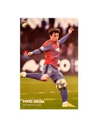Z davida se stává kutil. Bucha Pavel Viktoria Plzen Fotbal Veseli Nad Moravou Hodonin Sbazar Cz