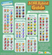 Updated My Infographic From Earlier It Clarifies Some Things For Those Who Were Confused Animalcros Animal Crossing Animal Crossing Game Animal Crossing Qr