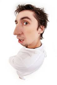 1,762 Looking Fish Guy Stock Photos