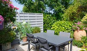 Idéalement il faut fuir les périodes de gel et. Quel Arbuste Choisir Pour Une Terrasse Fleurie Jardiland