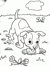 There are tons of great resources for free printable color pages online. Get This Easy Puppy Coloring Pages For Preschoolers 8ps18
